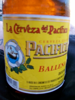 baja new years and bthing 038