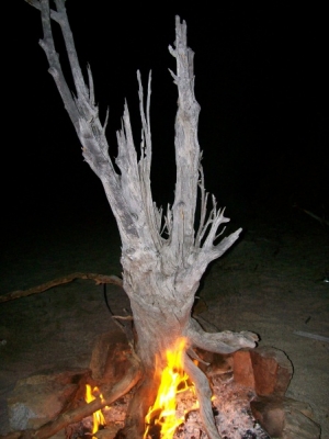 baja new years and bthing 114