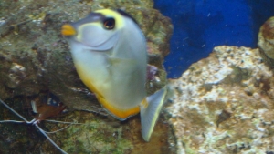 7281