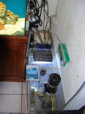 ITS ALIVE!!! The Beast was born. 55 Gal Sump