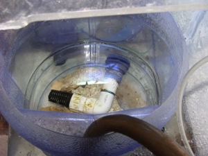 Refugium