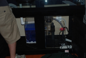 sump