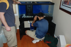 working on sump