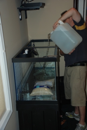Here comes the water