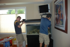 adding the light