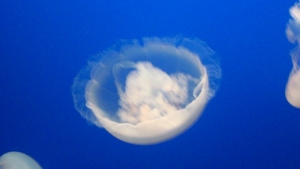 7471