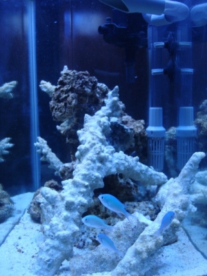 Side view of the tank