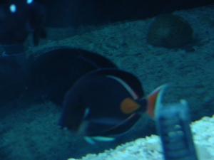 7648