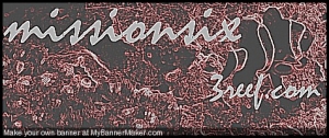 mybanner490fe305a4e85wc9