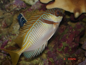 DSC01463