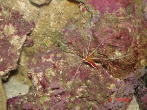 DSC01460