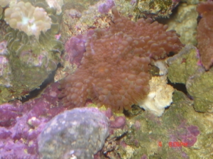 DSC01446