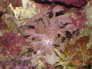DSC01447