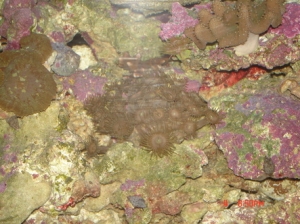 DSC01451