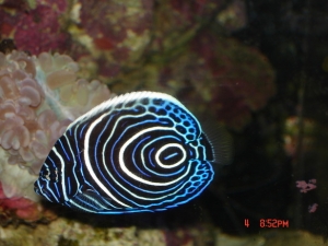 DSC01457