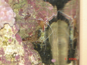 DSC01448
