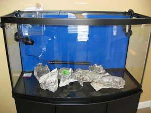 Base rock placement, powerheads, heater
