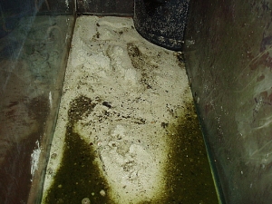 Water drained