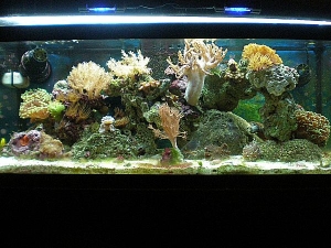 full tank