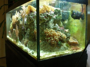 Right Corner view.