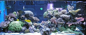 DSCN1424