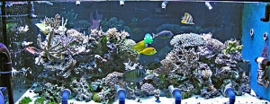 DSCN1425