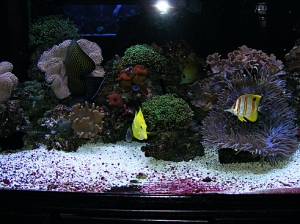 Picture 004