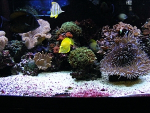 Picture 003