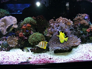 Picture 001