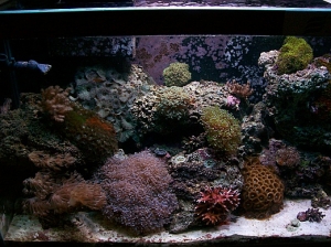 scape1208 003