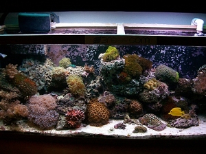 scape1208 004