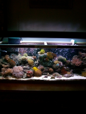 scape1208 005