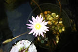 th IMG 0320