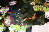th IMG 0333
