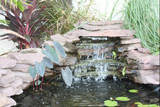 th IMG 0358