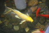 th IMG 0371