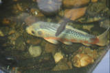 th IMG 0377