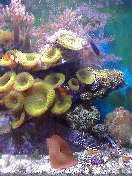 (cell phone pic)