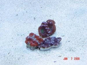 DSC02750 2