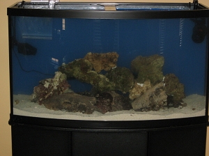 3reeftankcycling