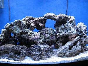 Added a bit more cured LR to the aquastructure, 01/17/2009