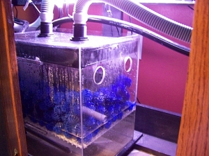 Refugium 001