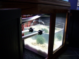 refugium 028