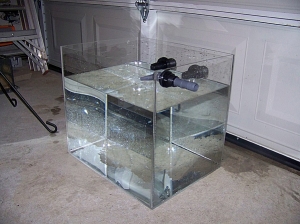 refugium 021