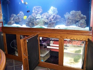 refugium 027