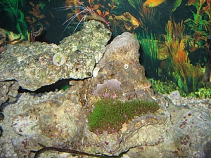 IMG 0018