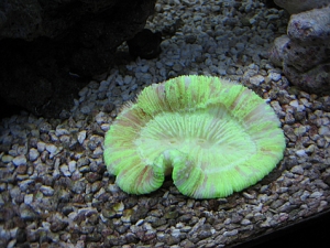 IMG 0025