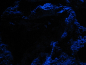Trying out custom moodlights