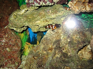 IMG 0056