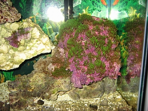 IMG 0059